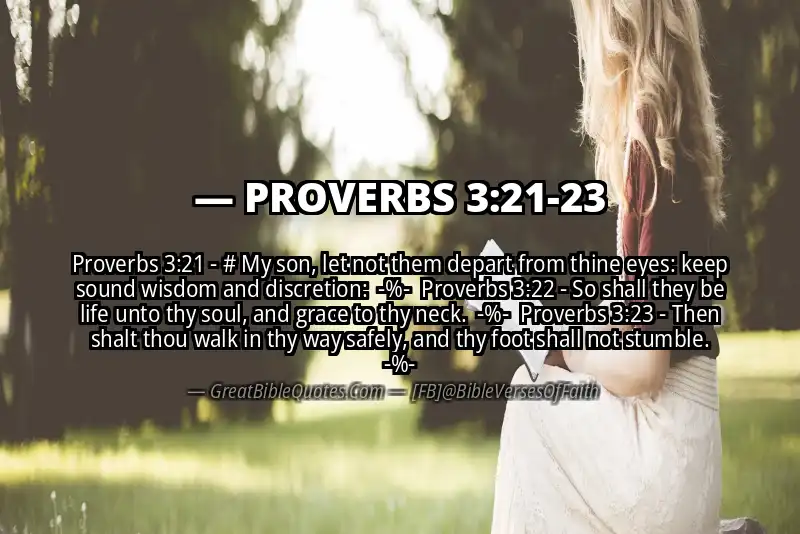 Image for PROVERBS 3:21-23 Bible verse