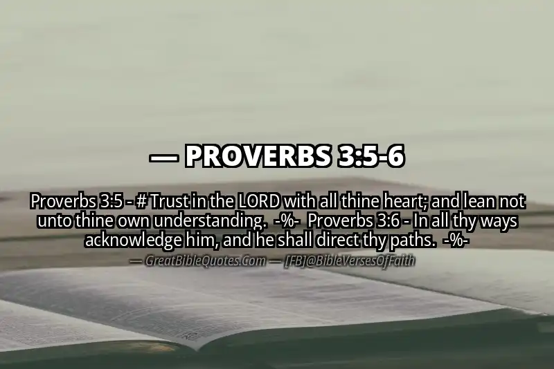 Image for PROVERBS 3:5-6 Bible verse