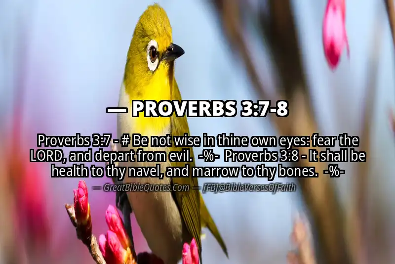 Image for PROVERBS 3:7-8 Bible verse