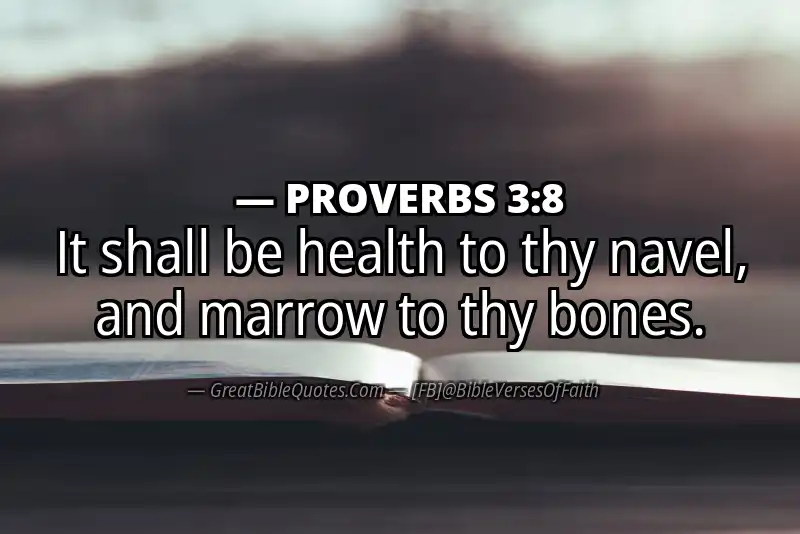 PROVERBS 3:8 Verse