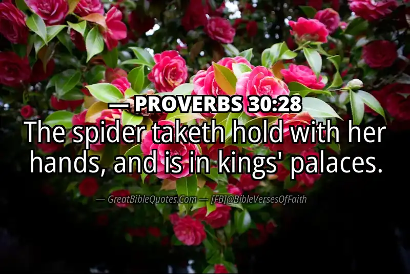 PROVERBS 30:28 Verse