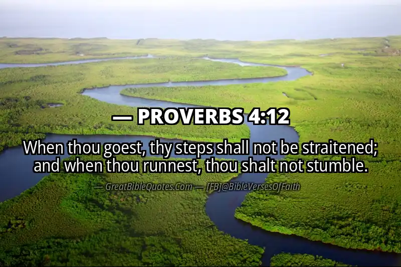 PROVERBS 4:12 Verse