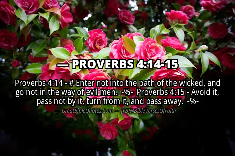 Image for PROVERBS 4:14-15 Bible verse