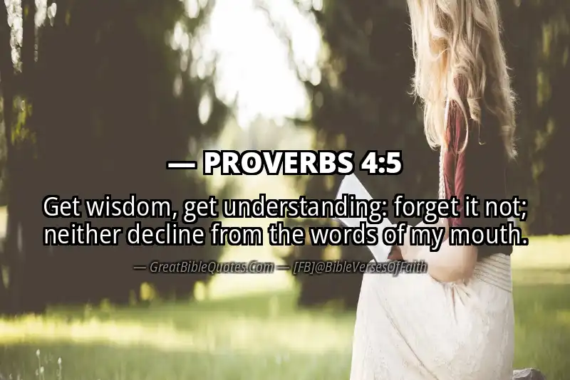 Image for PROVERBS 4:5 Bible verse