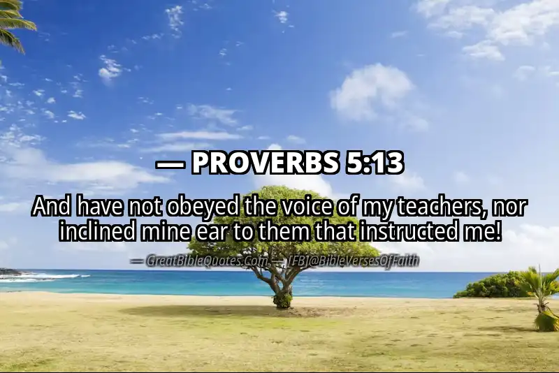 PROVERBS 5:13 Verse