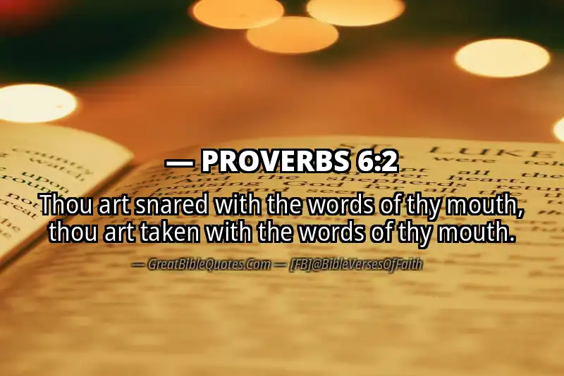 PROVERBS 6:2 Verse