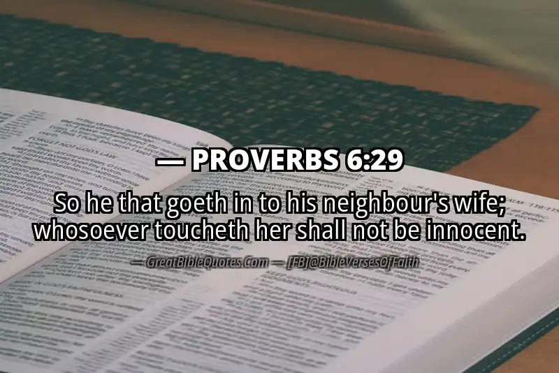 PROVERBS 6:29 Verse