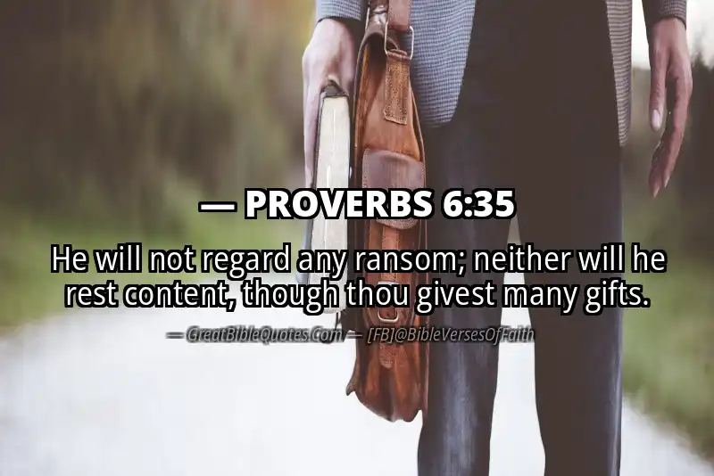 PROVERBS 6:35 Verse
