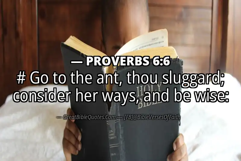 PROVERBS 6:6 Verse