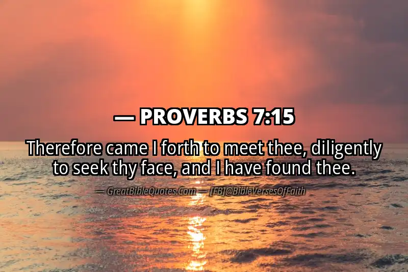 PROVERBS 7:15 Verse