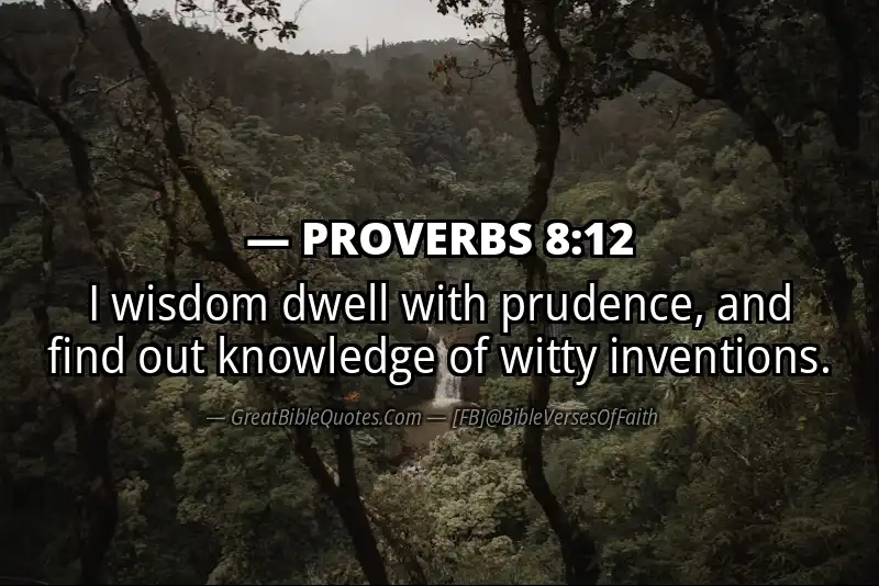 Image for PROVERBS 8:12 Bible verse