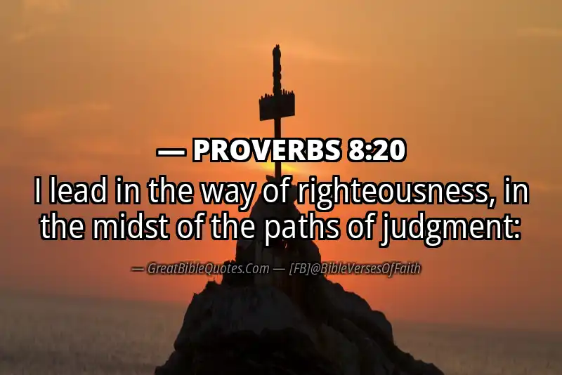 PROVERBS 8:20 Verse