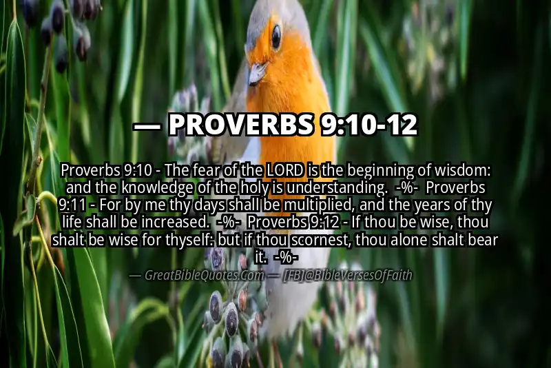 Image for PROVERBS 9:10-12 Bible verse