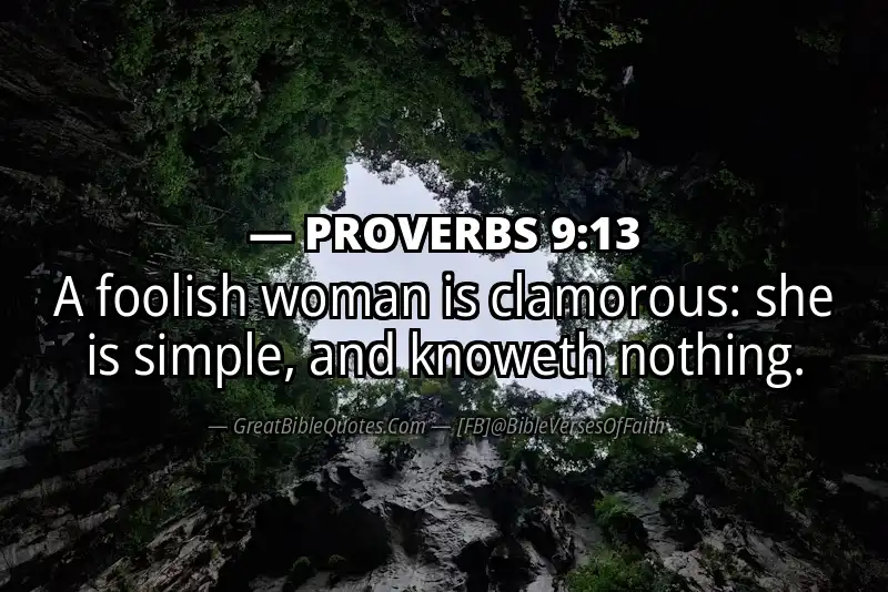 PROVERBS 9:13 Verse