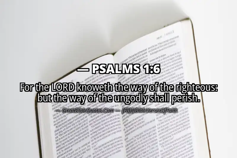 Bible verse: PSALMS 1:6 Image