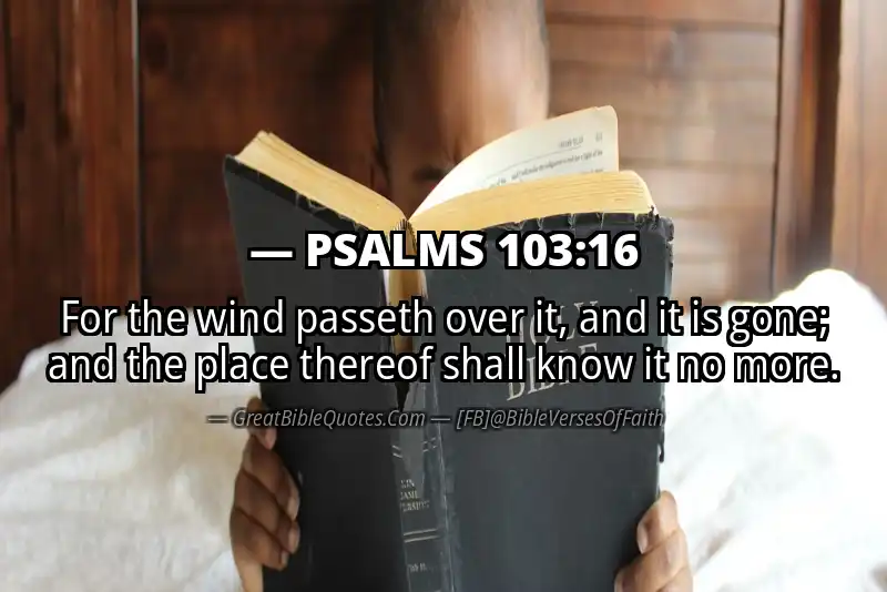 PSALMS 103:16 Verse Image