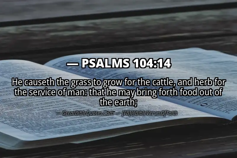 PSALMS 104:14 Verse