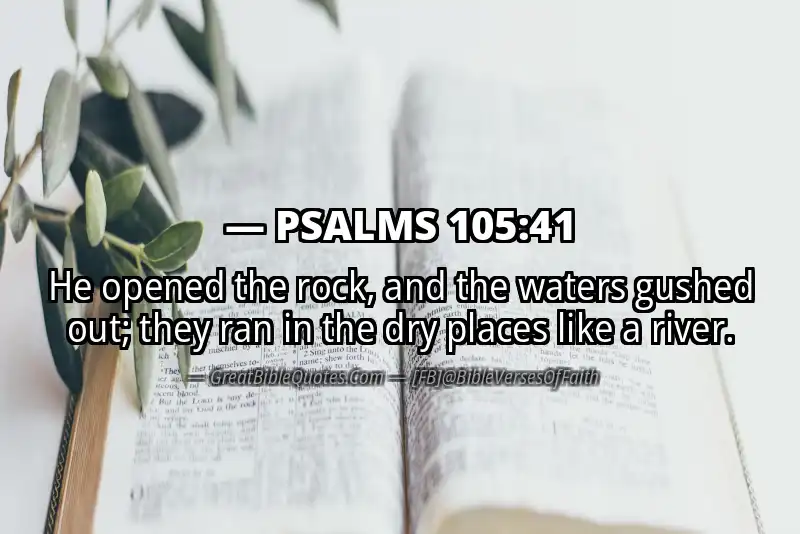 PSALMS 105:41 Verse