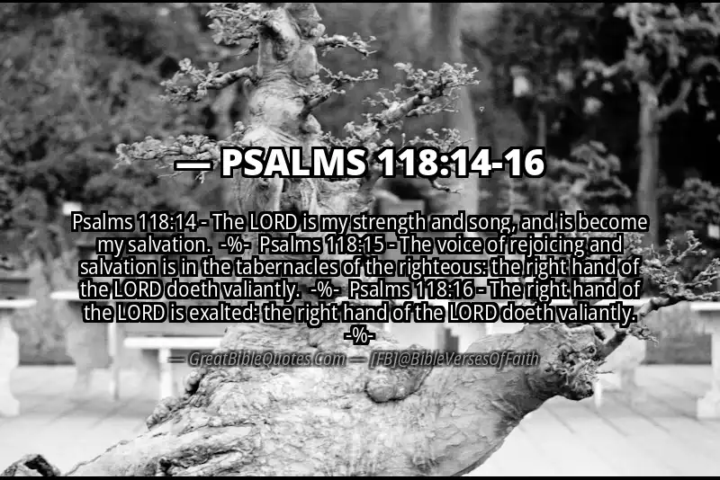 Image for PSALMS 118:14-16 Bible verse
