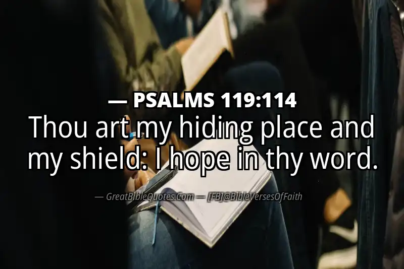 PSALMS 119:114 Verse