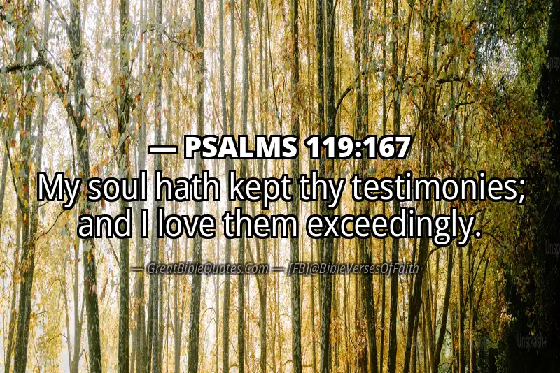 PSALMS 119:167 Verse