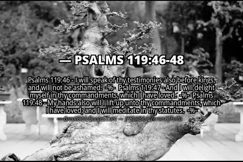 Image for PSALMS 119:46-48 Bible verse