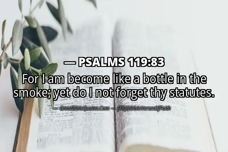 PSALMS 119:83 Verse