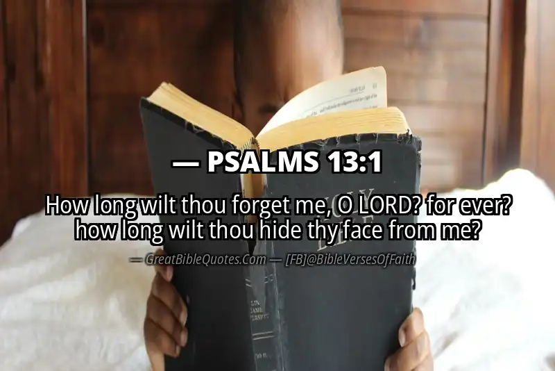 PSALMS 13:1 Verse