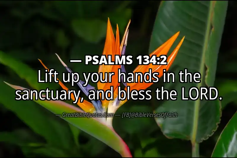 PSALMS 134:2 Verse