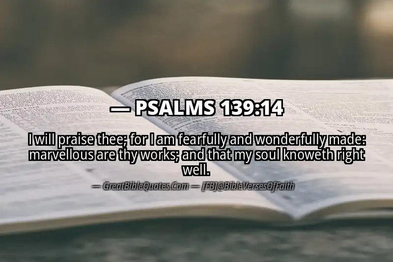 PSALMS 139:14 Verse