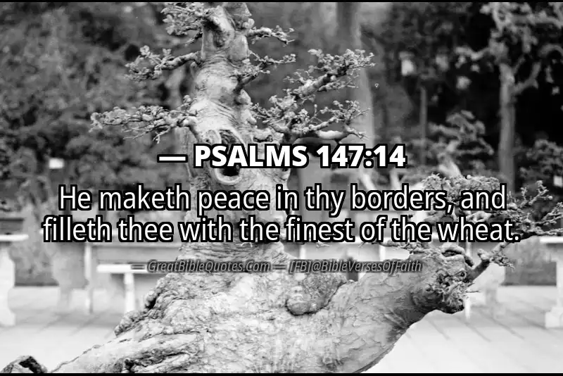 PSALMS 147:14 Verse Image