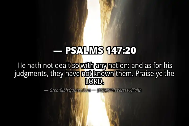 Bible verse: PSALMS 147:20 Image