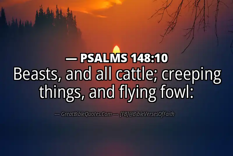 Bible verse: PSALMS 148:10 Image
