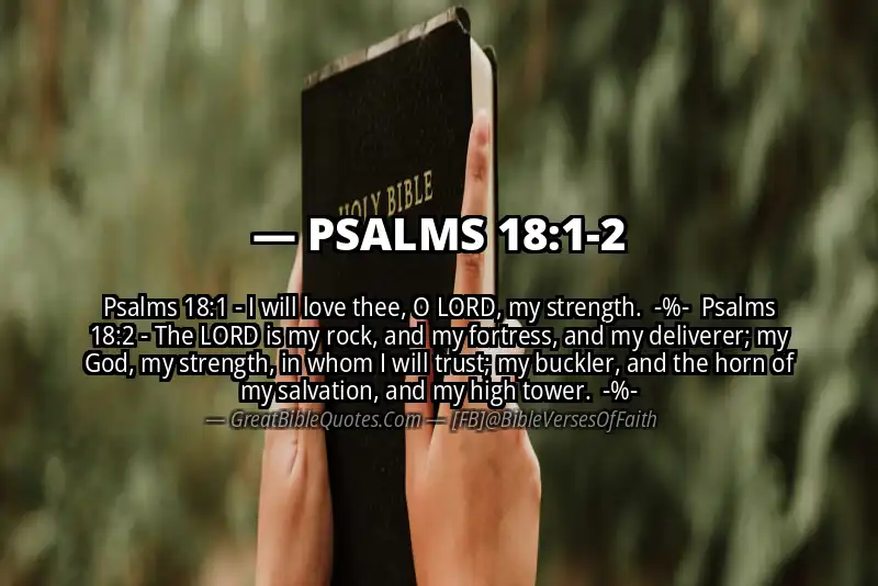 Image for PSALMS 18:1-2 Bible verse