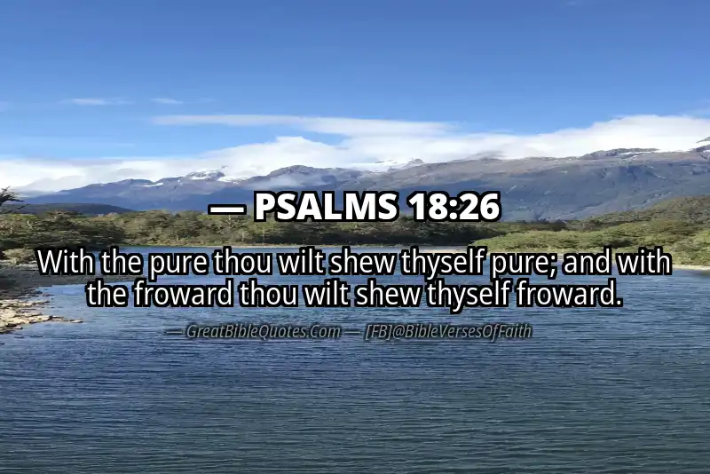 PSALMS 18:26 Verse