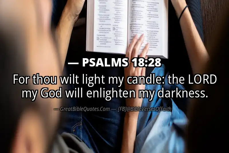 Image for PSALMS 18:28 Bible verse
