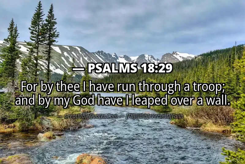 PSALMS 18:29 Verse