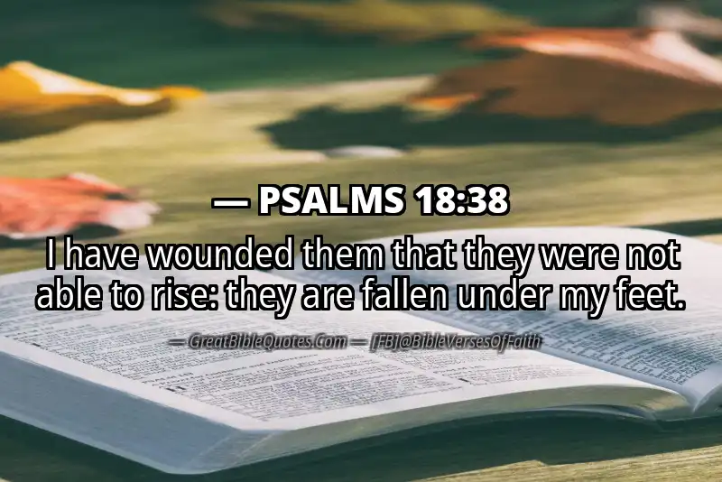 PSALMS 18:38 Verse