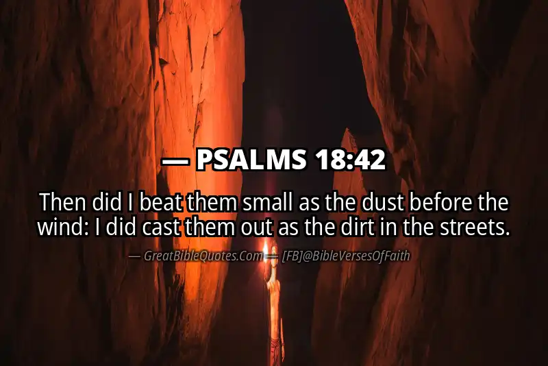 PSALMS 18:42 Verse