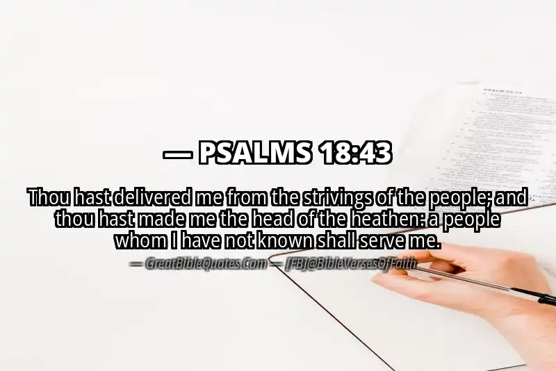 PSALMS 18:43 Verse