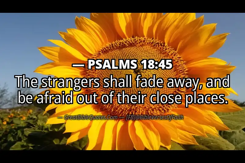 PSALMS 18:45 Verse