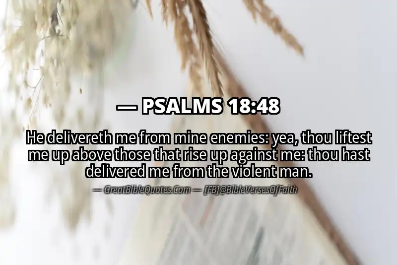 PSALMS 18:48 Verse