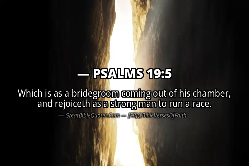 PSALMS 19:5 Verse
