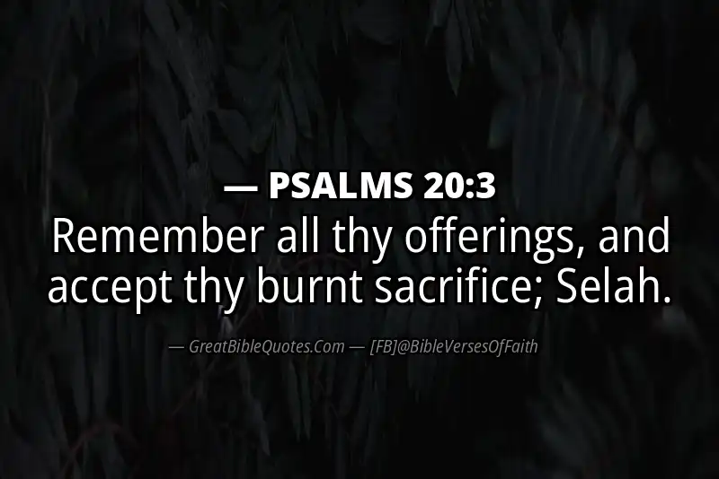 PSALMS 20:3 Verse