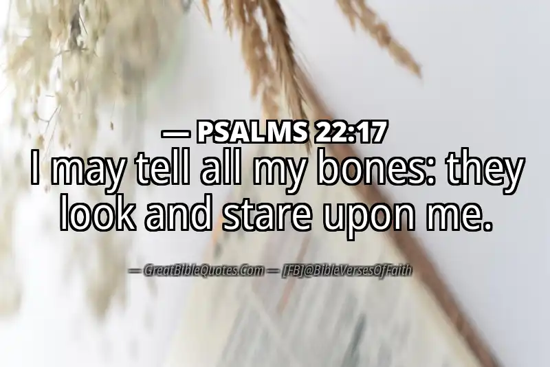 PSALMS 22:17 Verse