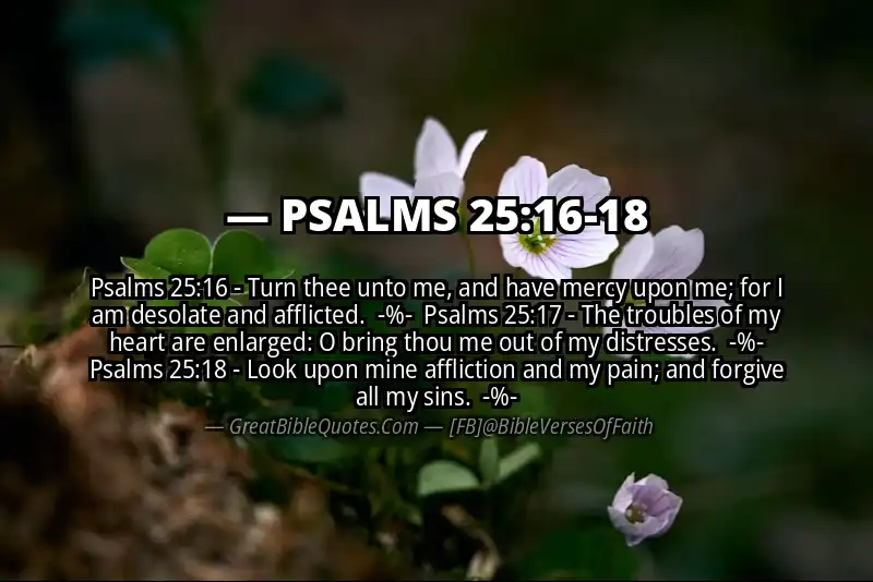 Image for PSALMS 25:16-18 Bible verse