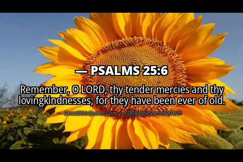 PSALMS 25:6 Verse