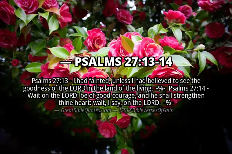 Image for PSALMS 27:13-14 Bible verse
