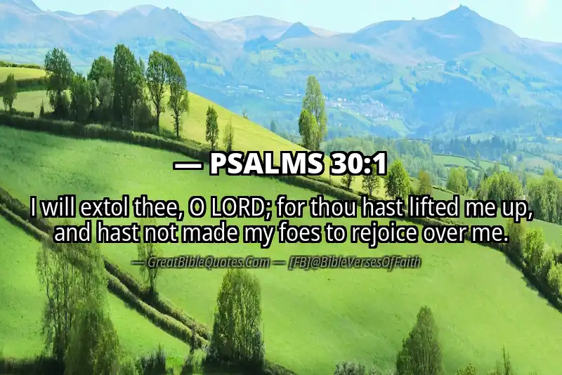 PSALMS 30:1 Verse