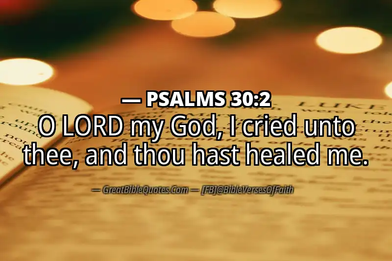 PSALMS 30:2 Verse